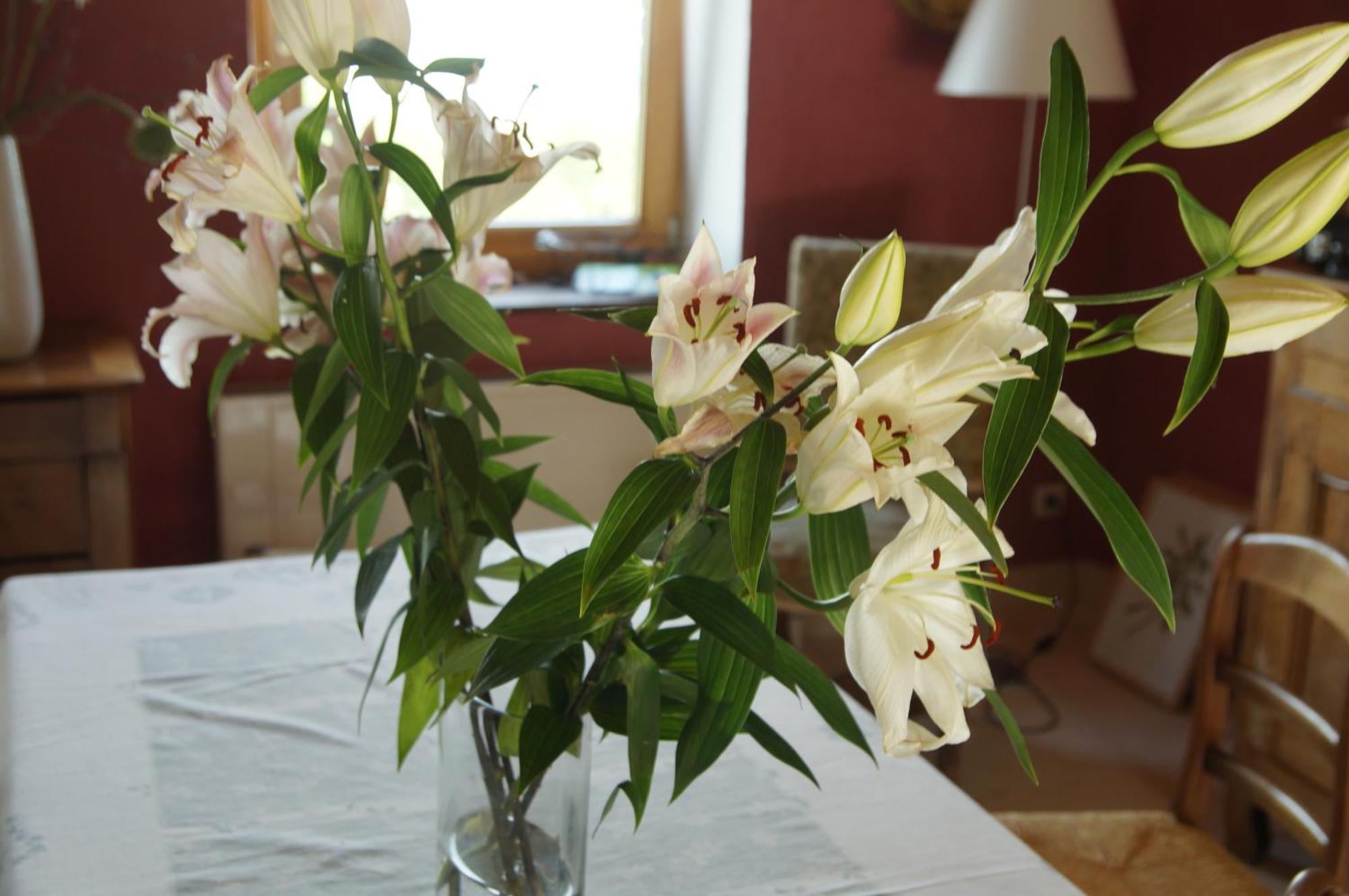 Le Grand Noe Bed and Breakfast Roisey Rum bild