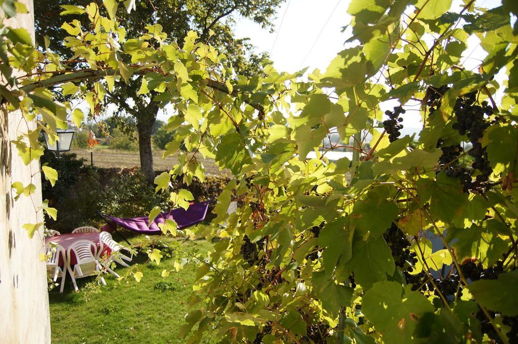 Le Grand Noe Bed and Breakfast Roisey Exteriör bild